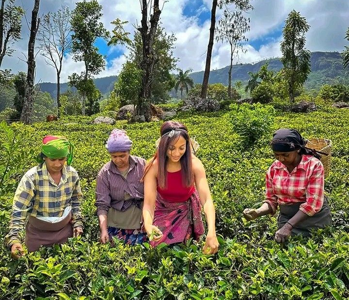 Hikers on nature trail in rainforest